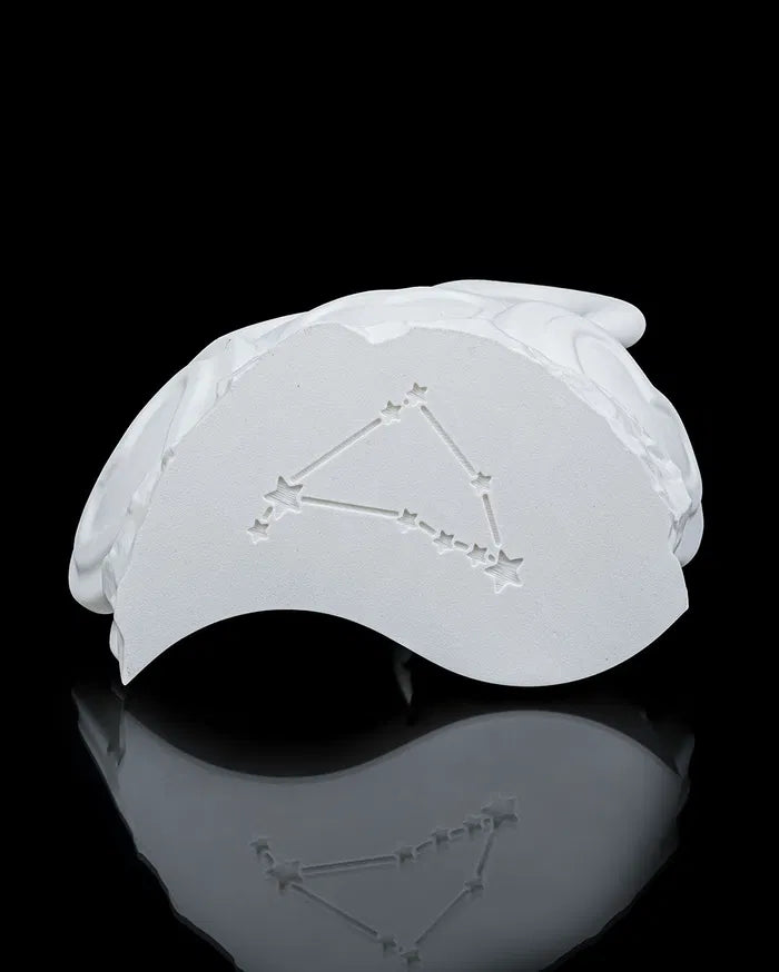 ZODIAC Capricorne valentin