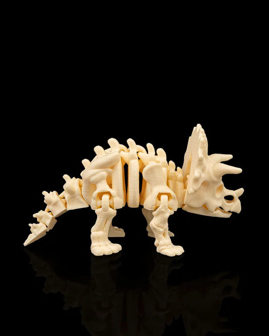 Triceratops squelette articulé
