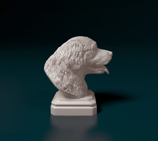Bouvier bernois 3D
