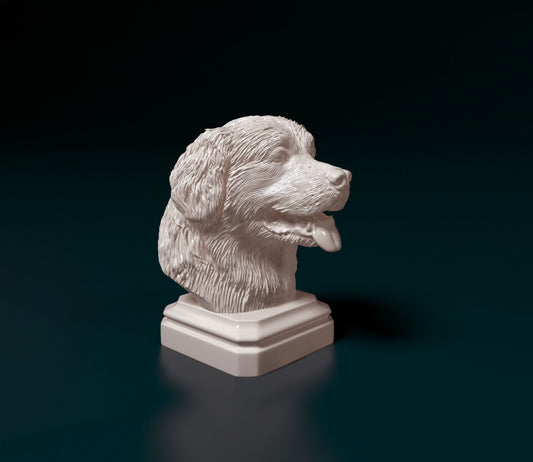 Bouvier bernois 3D