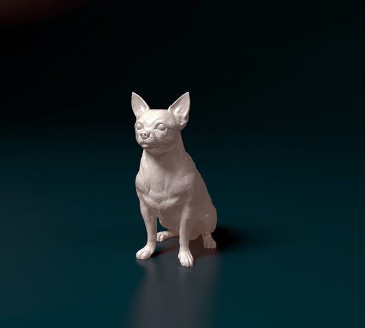 Chihuahua 3D