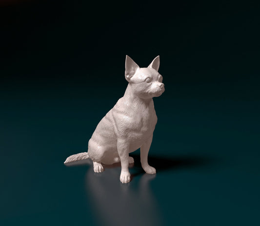 Chihuahua 3D