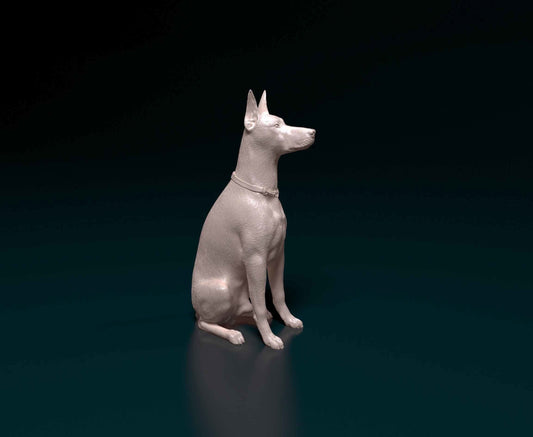 Doberman 3D