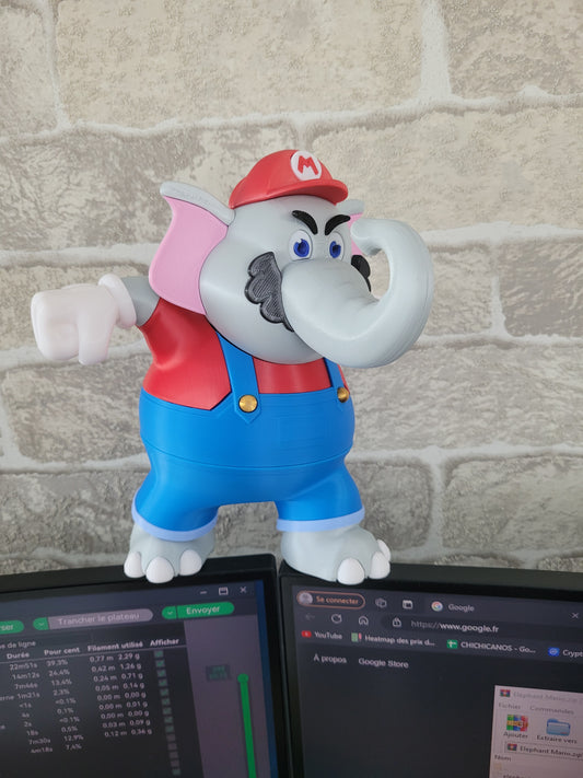 Impression 3D plombier WONDER