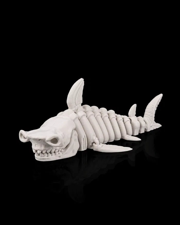 Requin squelette articulé