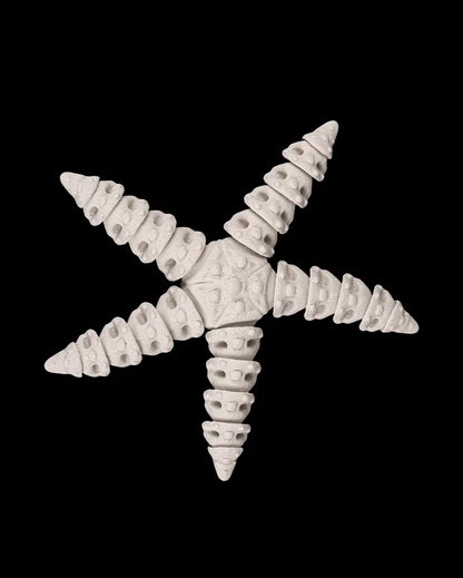 Squelette de starfish articulé de la marque Customcréa3D, modèle détaillé avec os visibles et joints mobiles.