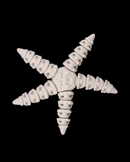 Starfish squelette articulé