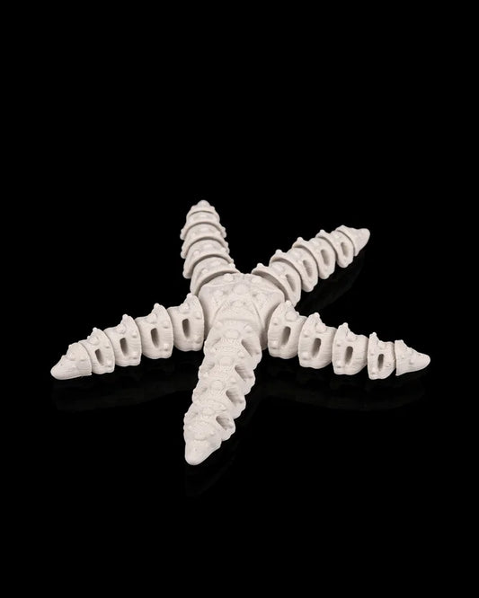 Starfish squelette articulé