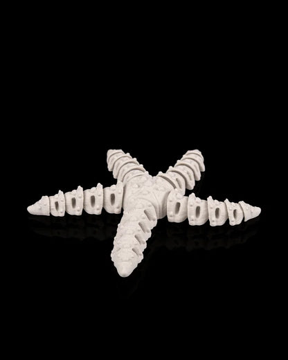 Squelette de starfish articulé en plastique, modèle customisé, montrant ses bras et sa structure détaillée.