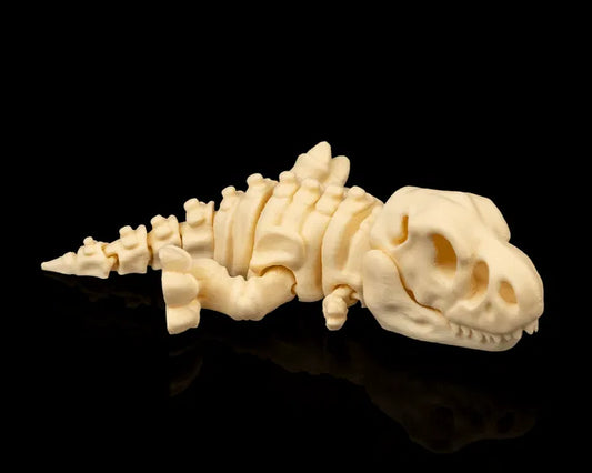 T-rex squelette articulé