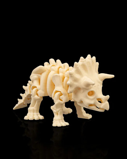 Triceratops squelette articulé