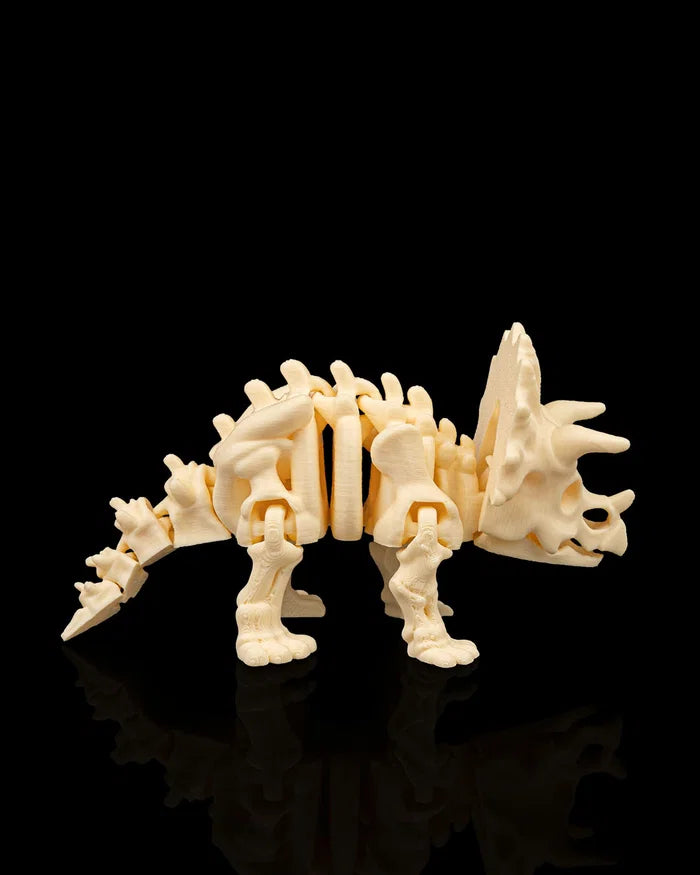 Squelette articulé de Triceratops en 3D de Customcréa3D, montrant les os et la structure du dinosaure.