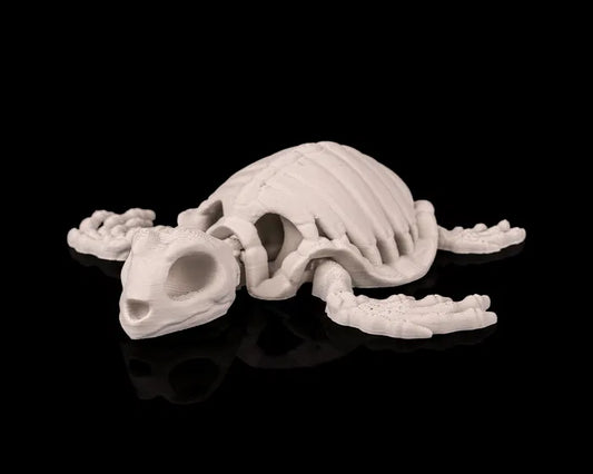 Tortue squelette articulé