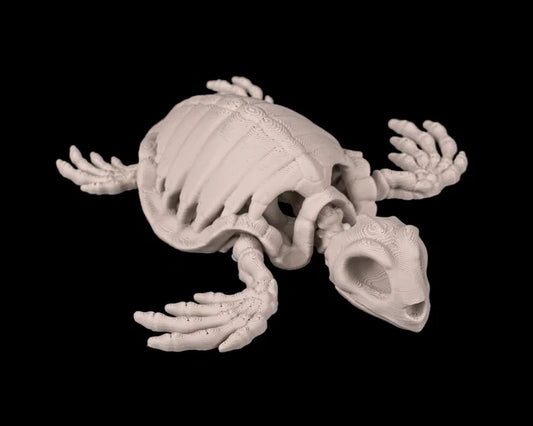 Tortue squelette articulé