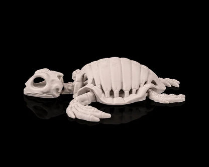 Squelette de tortue articulé en plastique, modèle squelette de tortue pour décoration ou modélisme, fabriqué par Customcréa3D.