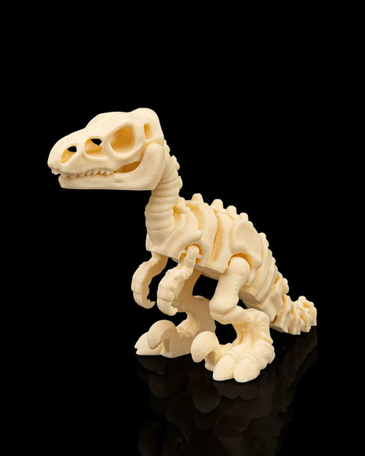 Velociraptor squelette articulé