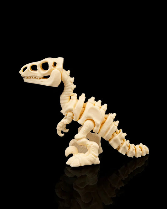 Velociraptor squelette articulé