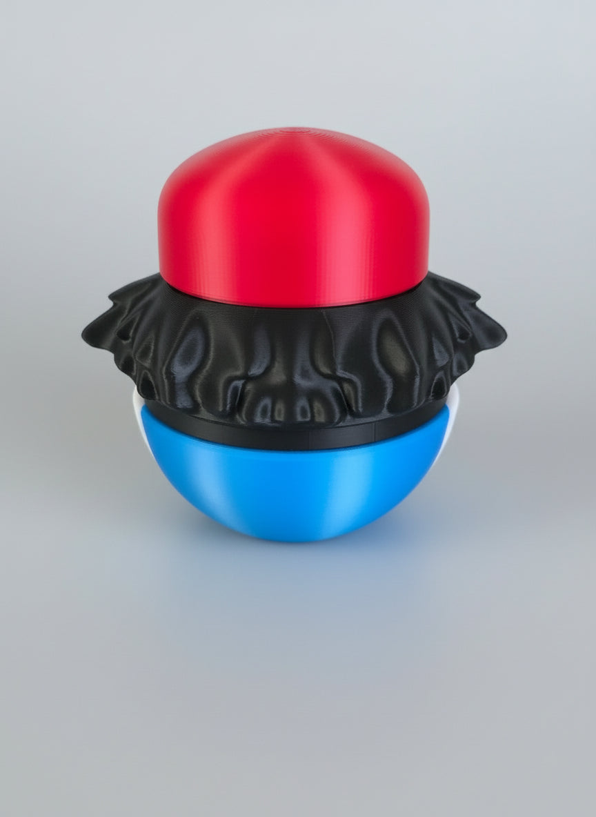 Pokéball sacha